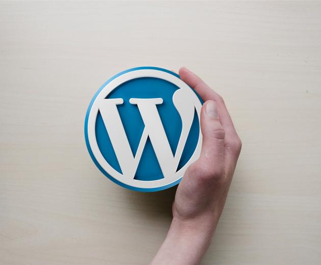 Should I update my Wordpress site?