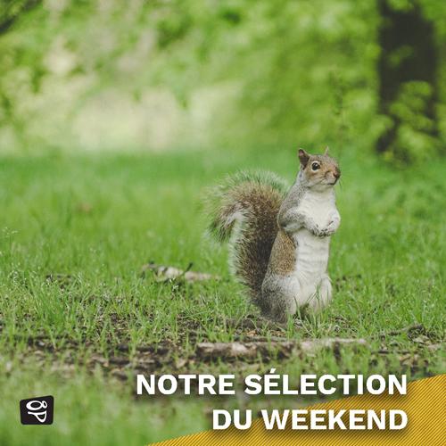 Lien: Sélection du Weekend - 20/09/19