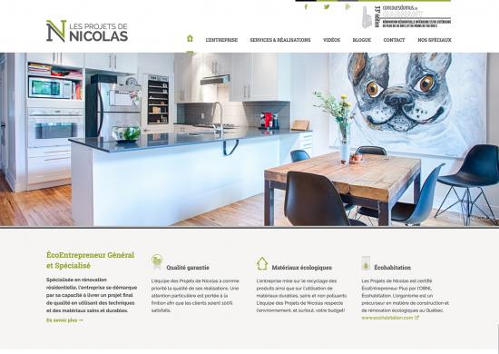 Les projets de Nicolas - Développement web pour éco-entrepreneur Les projets de Nicolas - Développement web pour éco-entrepreneur